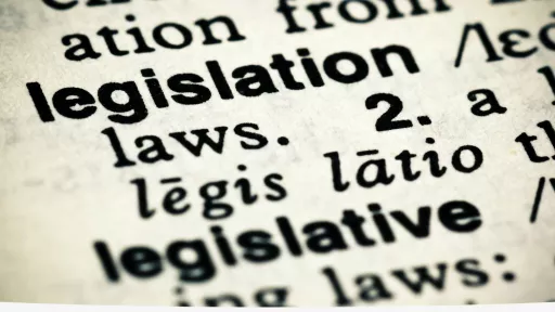 words in on a dictionary page